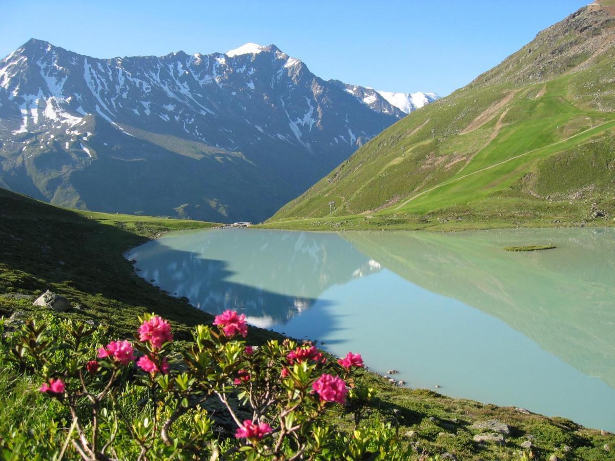 Appart Bergliebe Διαμέρισμα Arzl im Pitztal Εξωτερικό φωτογραφία