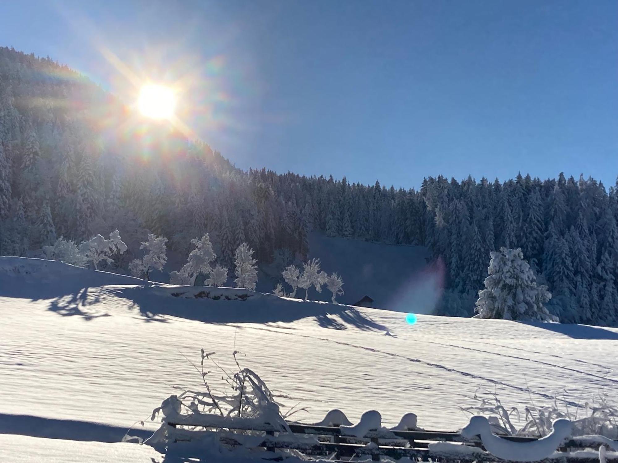 Appart Bergliebe Διαμέρισμα Arzl im Pitztal Εξωτερικό φωτογραφία